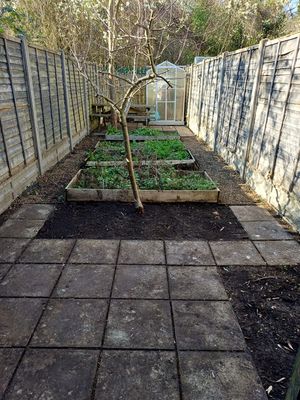 Photo 8- click for photo gallery